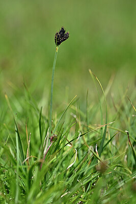 BUITEN BEELD Foto: 446538