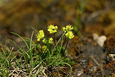 BUITEN BEELD Foto: 446551