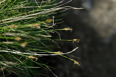 BUITEN BEELD Foto: 446556