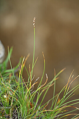 BUITEN BEELD Foto: 446557