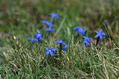 BUITEN BEELD Foto: 446559