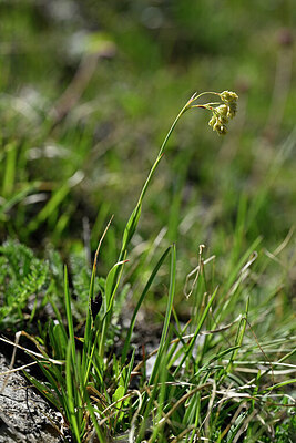BUITEN BEELD Foto: 446563