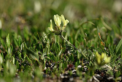 BUITEN BEELD Foto: 446565