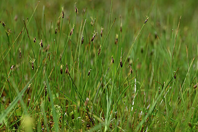BUITEN BEELD Foto: 446598