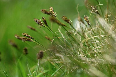 BUITEN BEELD Foto: 446611