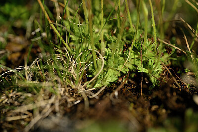 BUITEN BEELD Foto: 446612