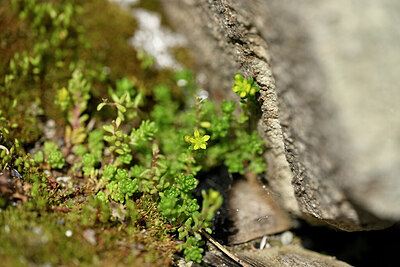 BUITEN BEELD Foto: 446615