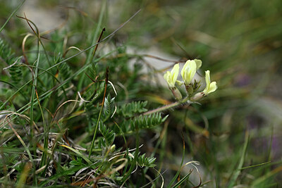 BUITEN BEELD Foto: 446639