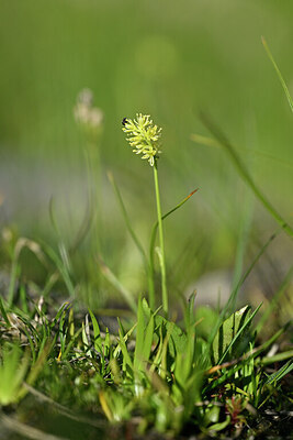 BUITEN BEELD Foto: 446660
