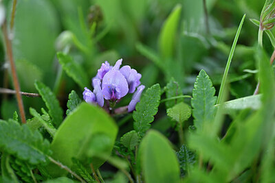 BUITEN BEELD Foto: 446661