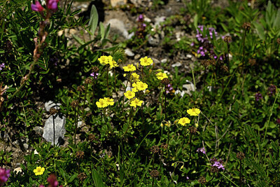 BUITEN BEELD Foto: 446664