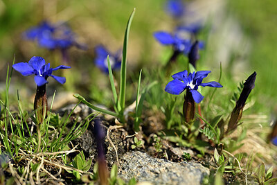 BUITEN BEELD Foto: 446670