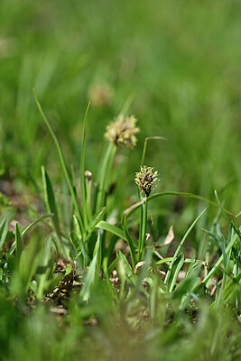BUITEN BEELD Foto: 446680