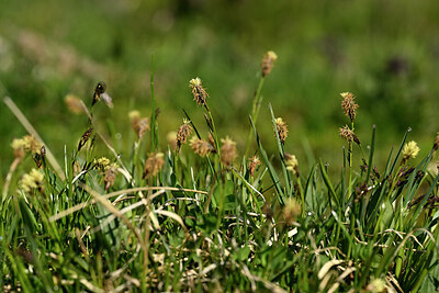 BUITEN BEELD Foto: 446683