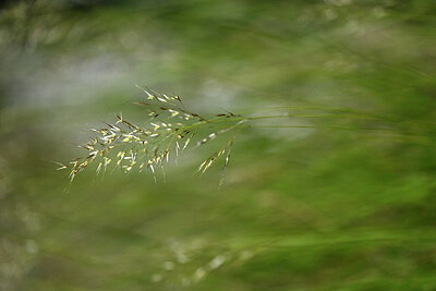 BUITEN BEELD Foto: 446686