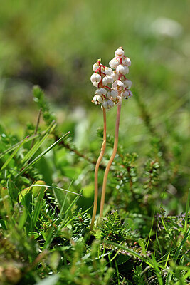 BUITEN BEELD Foto: 446693