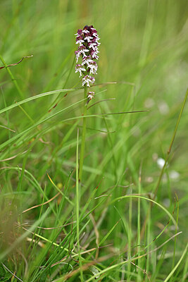 BUITEN BEELD Foto: 446700