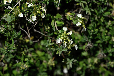 BUITEN BEELD Foto: 446705