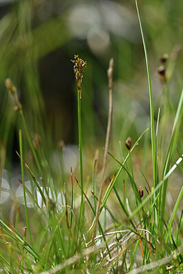 BUITEN BEELD Foto: 446713