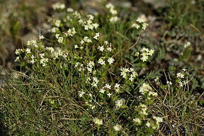 BUITEN BEELD Foto: 446716