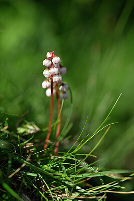 BUITEN BEELD Foto: 446721