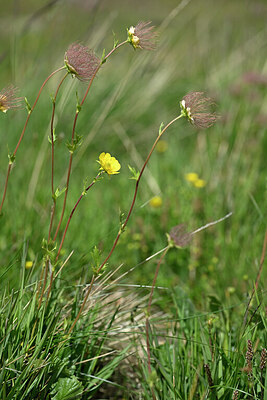 BUITEN BEELD Foto: 446726