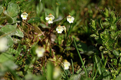 BUITEN BEELD Foto: 446731