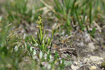 BUITEN BEELD Foto: 446741