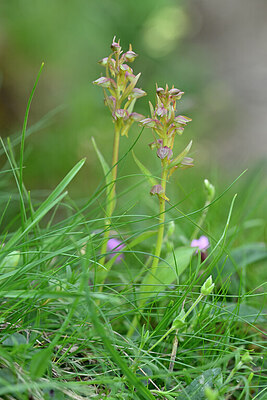 BUITEN BEELD Foto: 446742