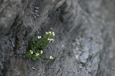BUITEN BEELD Foto: 446746