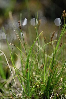 BUITEN BEELD Foto: 446751