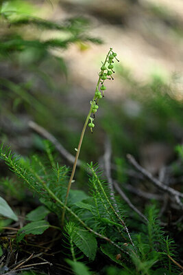 BUITEN BEELD Foto: 446757