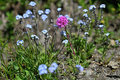 BUITEN BEELD Foto: 446770