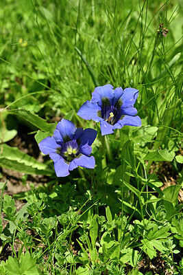 BUITEN BEELD Foto: 446776