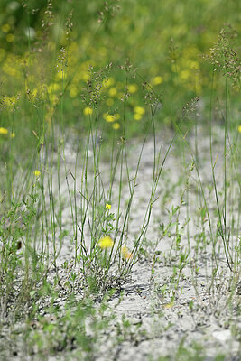 BUITEN BEELD Foto: 446777