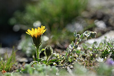 BUITEN BEELD Foto: 446783