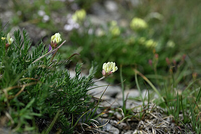 BUITEN BEELD Foto: 446785