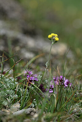 BUITEN BEELD Foto: 446787