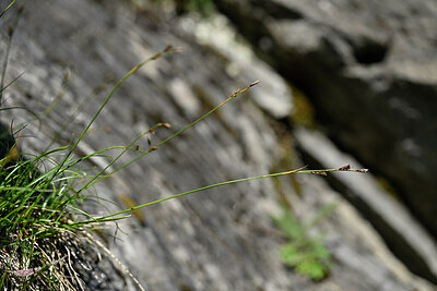BUITEN BEELD Foto: 446798