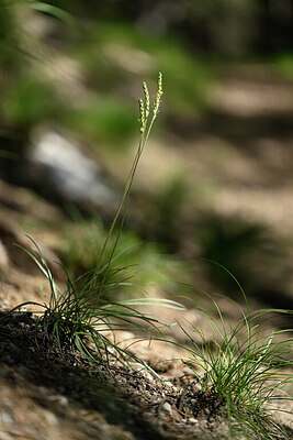 BUITEN BEELD Foto: 446800
