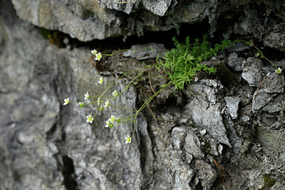 BUITEN BEELD Foto: 446803