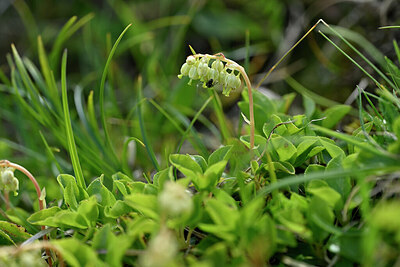 BUITEN BEELD Foto: 446806