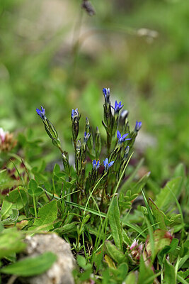 BUITEN BEELD Foto: 446817