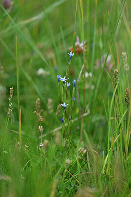 BUITEN BEELD Foto: 446821