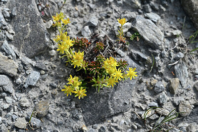 BUITEN BEELD Foto: 446822