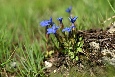 BUITEN BEELD Foto: 446831