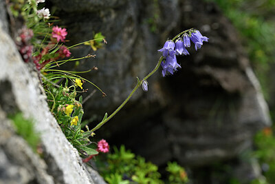 BUITEN BEELD Foto: 446840