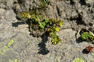 BUITEN BEELD Foto: 446844