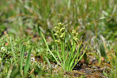 BUITEN BEELD Foto: 446848