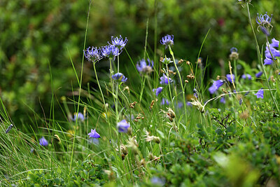 BUITEN BEELD Foto: 446855